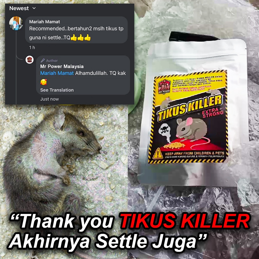 Racun Tikus Berkesan / Racun Tikus / Ubat Tikus 50g / Rat Killer ...