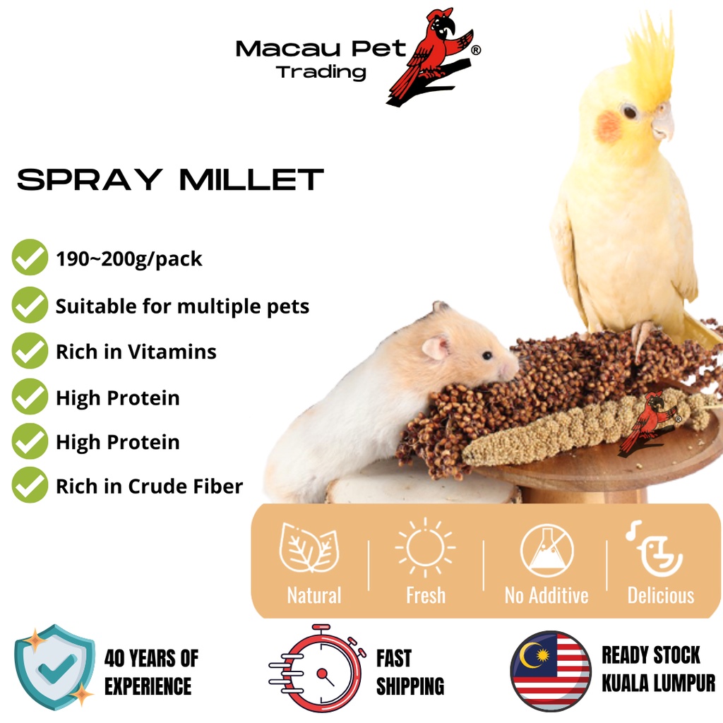 Millet spray for outlet hamsters