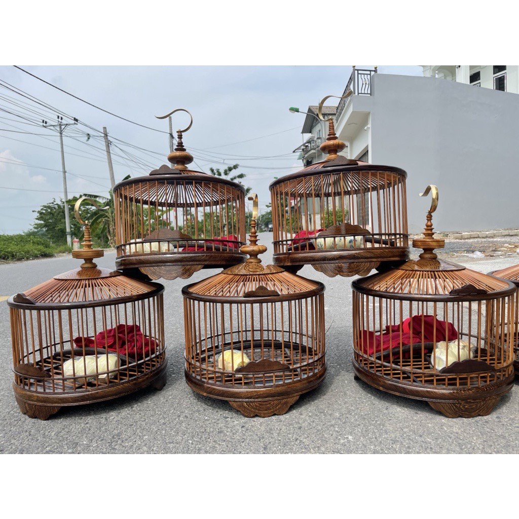 Ebony peacock cuckoo cage 40cm diameter cuckoo cage with premium Kabosa ...