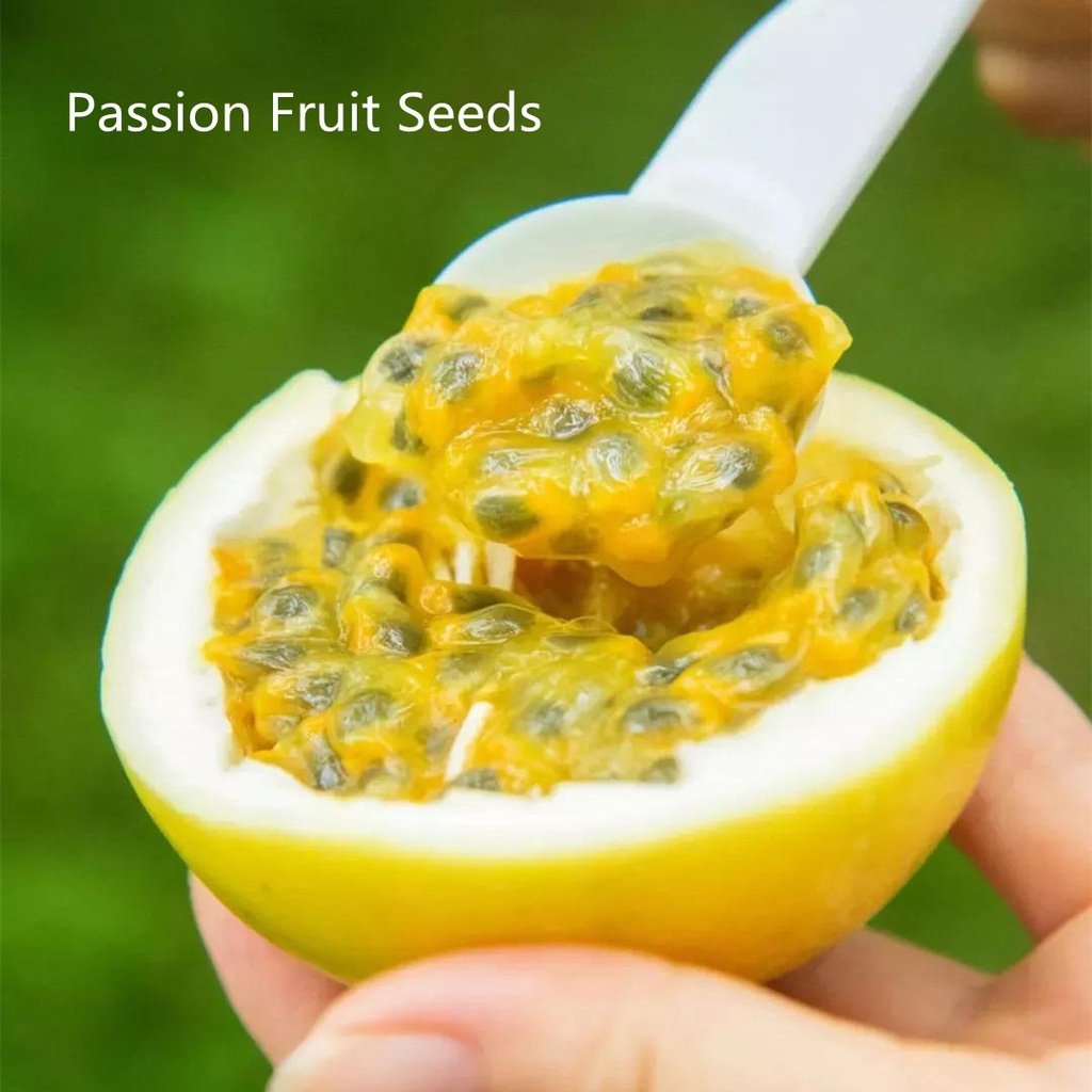 20 Pcs Passion Fruit Seeds Benih Pokok Buah Flower Seeds Vegetable