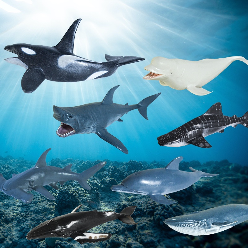 PVC Plastic Marine Animal Model Dolphin/beluga Whale/killer Whale/great ...