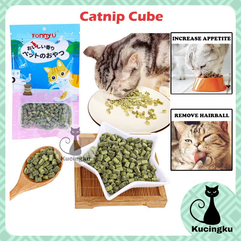 Catnip Cube Cat Grass Hairball Solution Hairball Control Catmint Catnip