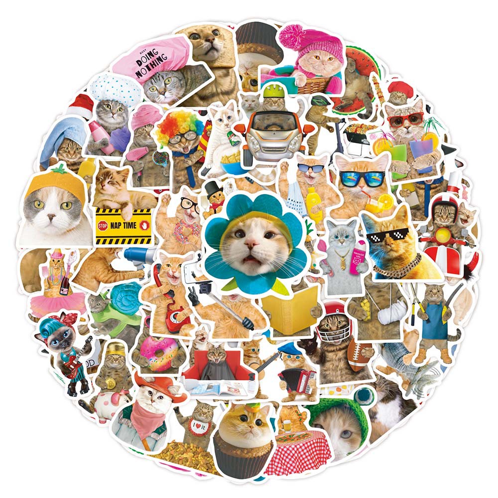 50PCS Funny Kawaii Meme Cute Cat Kitty Stickers For Phone Laptop ...