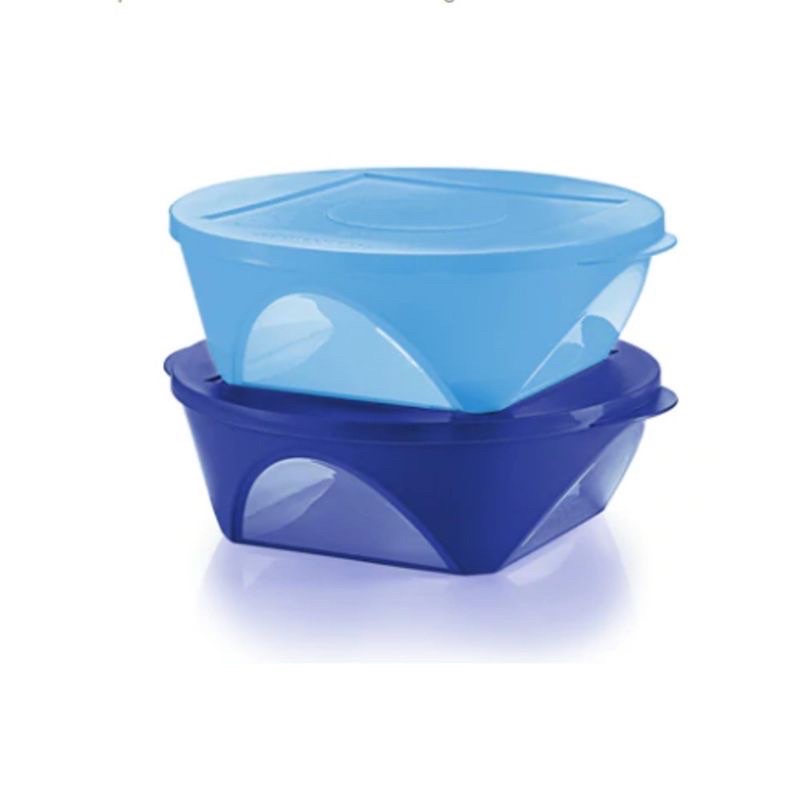 Tupperware Royale Blue Outdoor Dining Bowl 2.5L (2pcs) | Shopee Malaysia