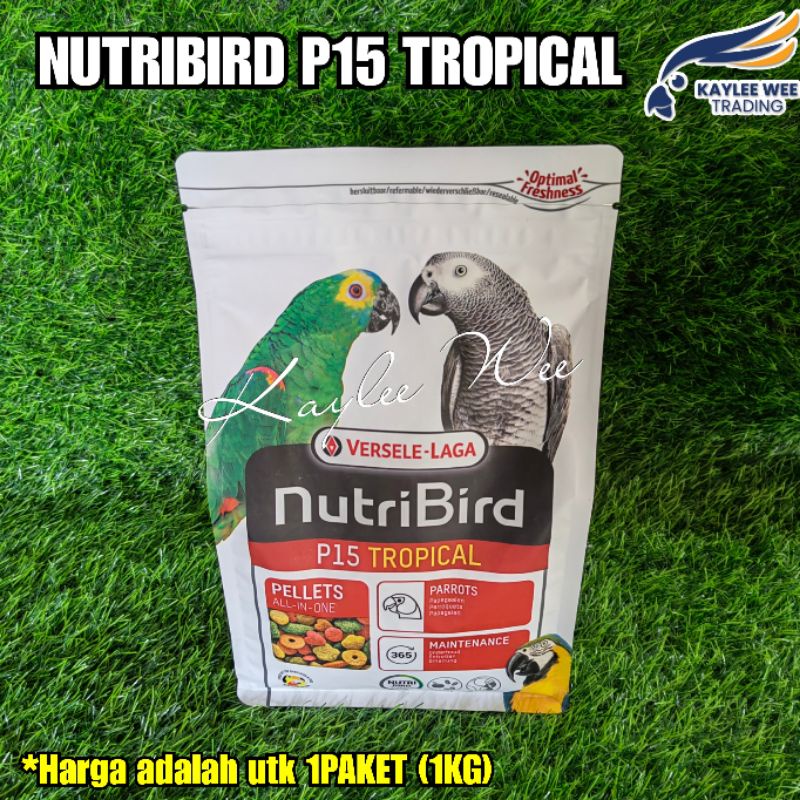 P15 parrot outlet food