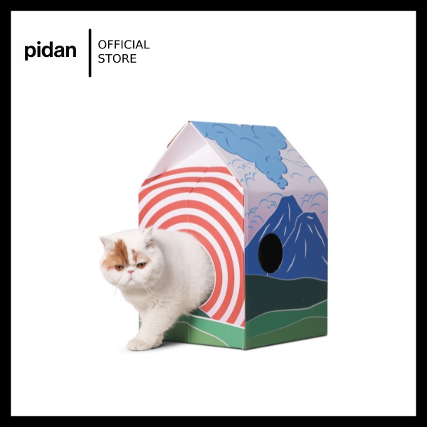 Pidan cordless cat scratcher