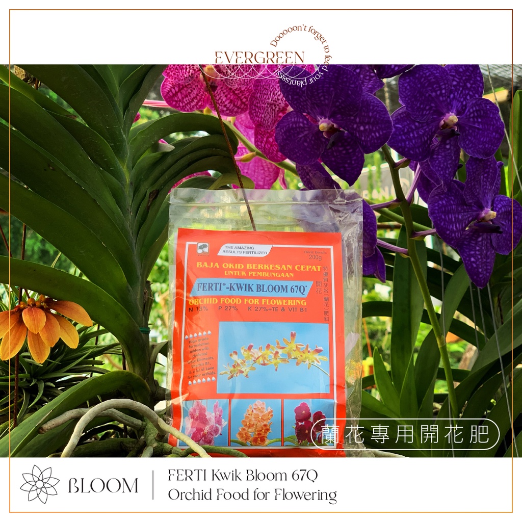 【Orchid Flowering Fertilizer】兰花特效开花肥料Baja Orkid Pembungaan (200g ...