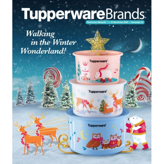 Tupperware Winter Wonders Collection Set Christmas 2022