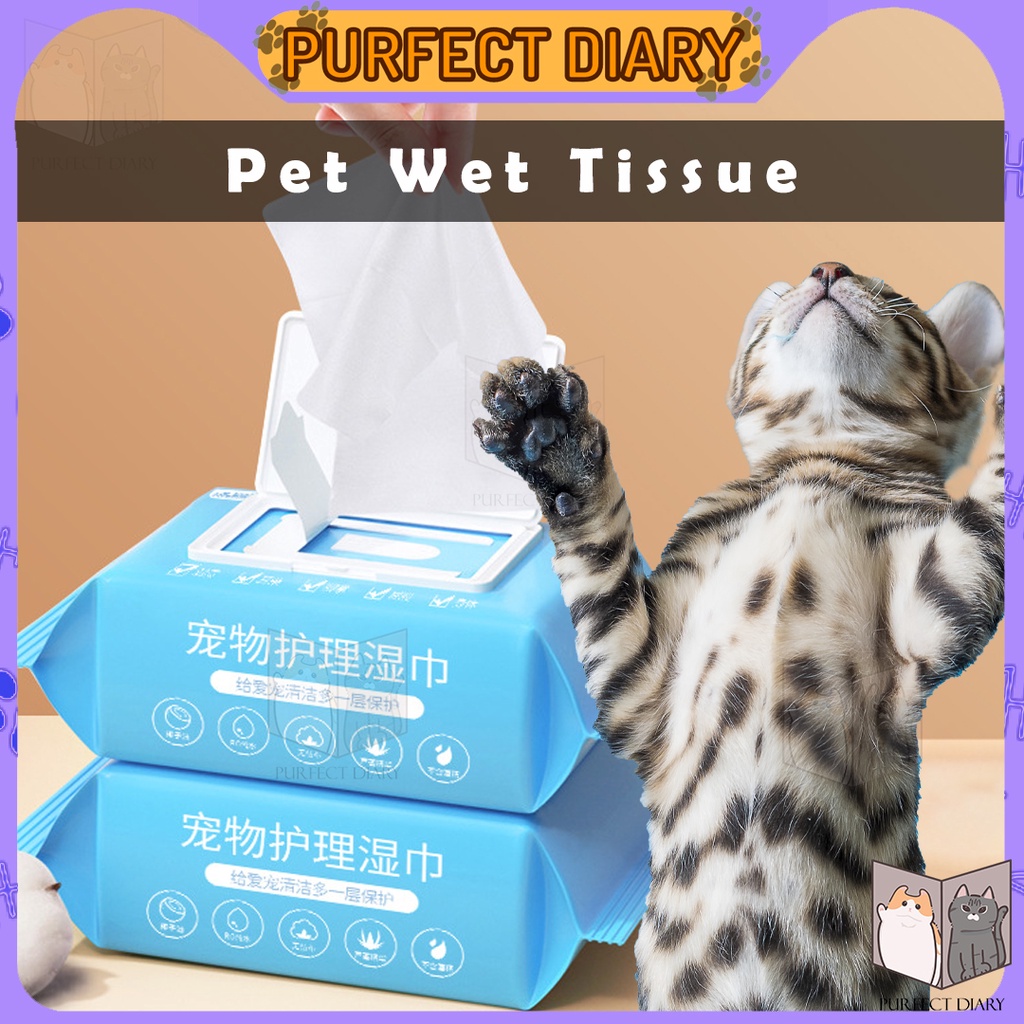 Pet Wet Wipes 100 pcs Cat Dog Pet Wet Wipes Aloe Vera Tissue Remove