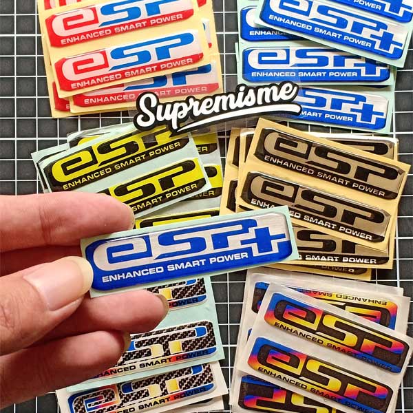 ESP Sticker + 3D Embossed | ESP 3D Embossed Sticker | ESP Embossed ...