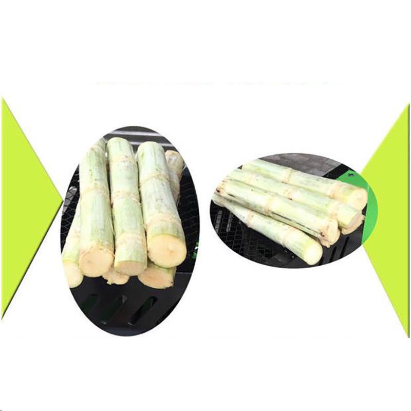 Manual sugarcane peelers Easy Use Mini Sugar Cane Peeling Machine New