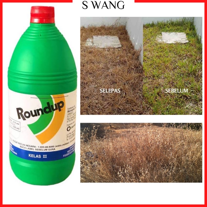 [ 1 UNIT ] 1L SPARK / ROUND UP/hangus (Racun Rumput Lalang/Ubat rumput ...
