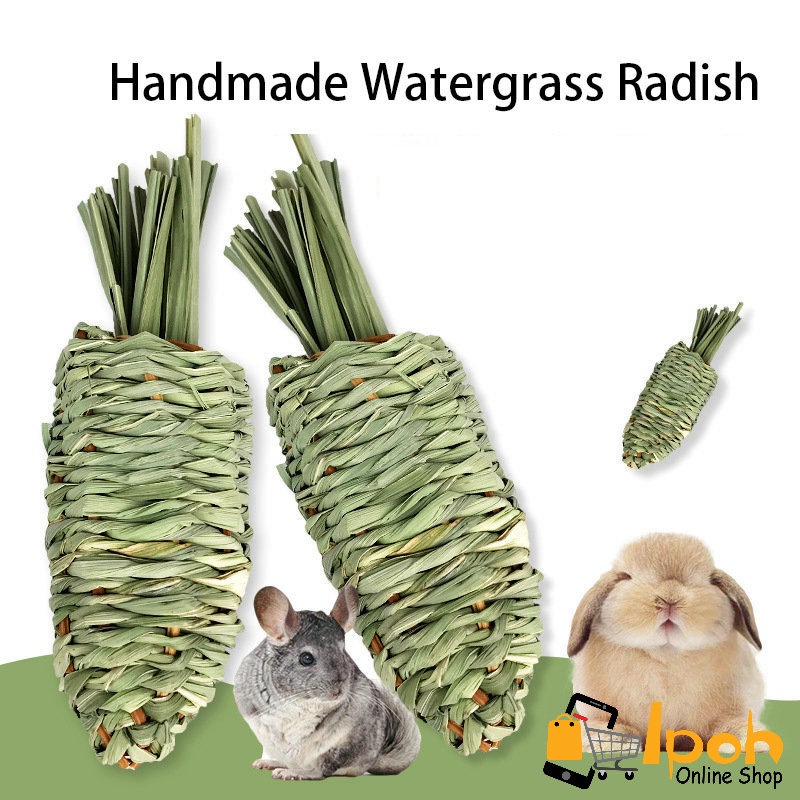 Handmade Watergrass Radish molar toy for Rabbit, chinchilla, Guinea Pig ...