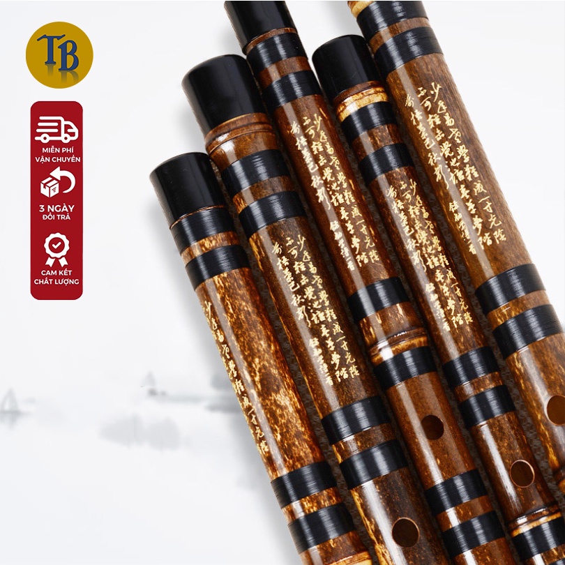 Truc Dizi Purple Bamboo Flute TwoHeaded HornyCoated Purple Bamboo, A
