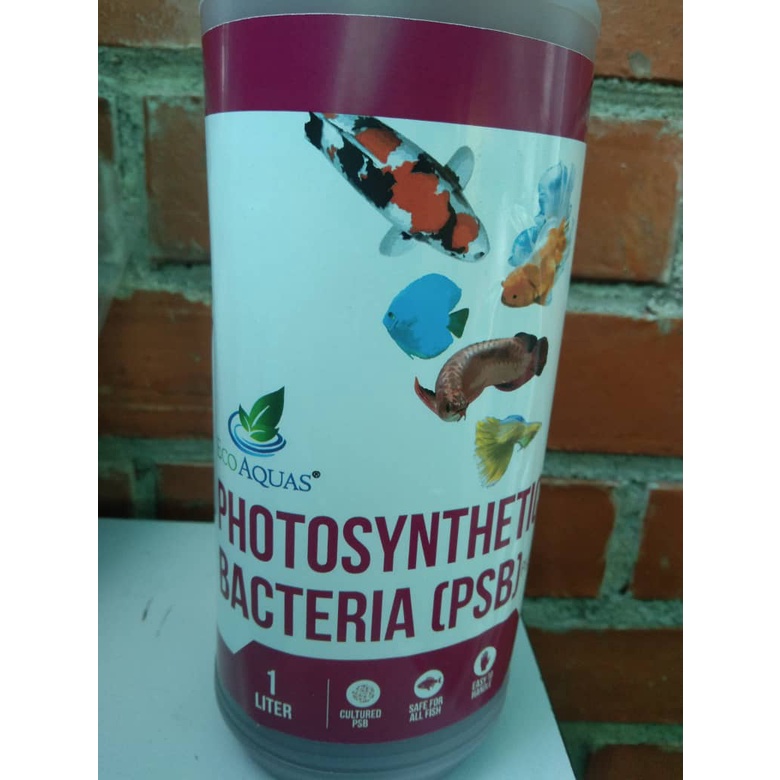 ECO AQUAS Photosynthetic Bacteria (PSB) - 1L | Shopee Malaysia