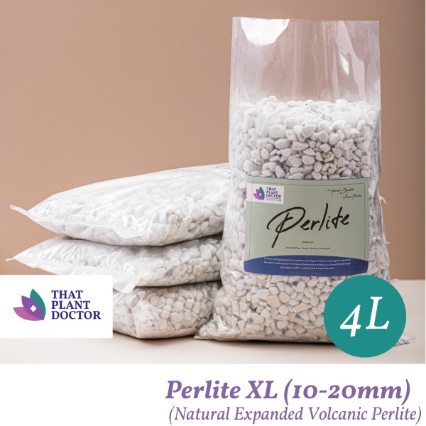 Perlite XL Size (4L) (10-20mm) (Natural Expanded Volcanic Perlite ...