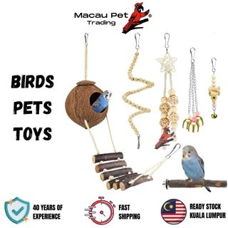 toy bird - Prices and Promotions - Apr 2024