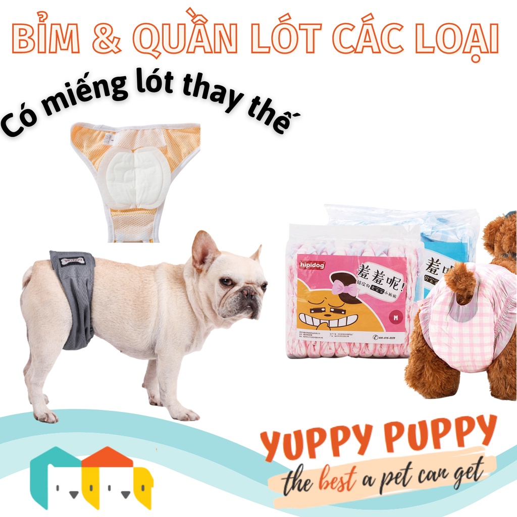 Premium Diapers For Multiple Uses / 1 Time For Male And Female Dogs