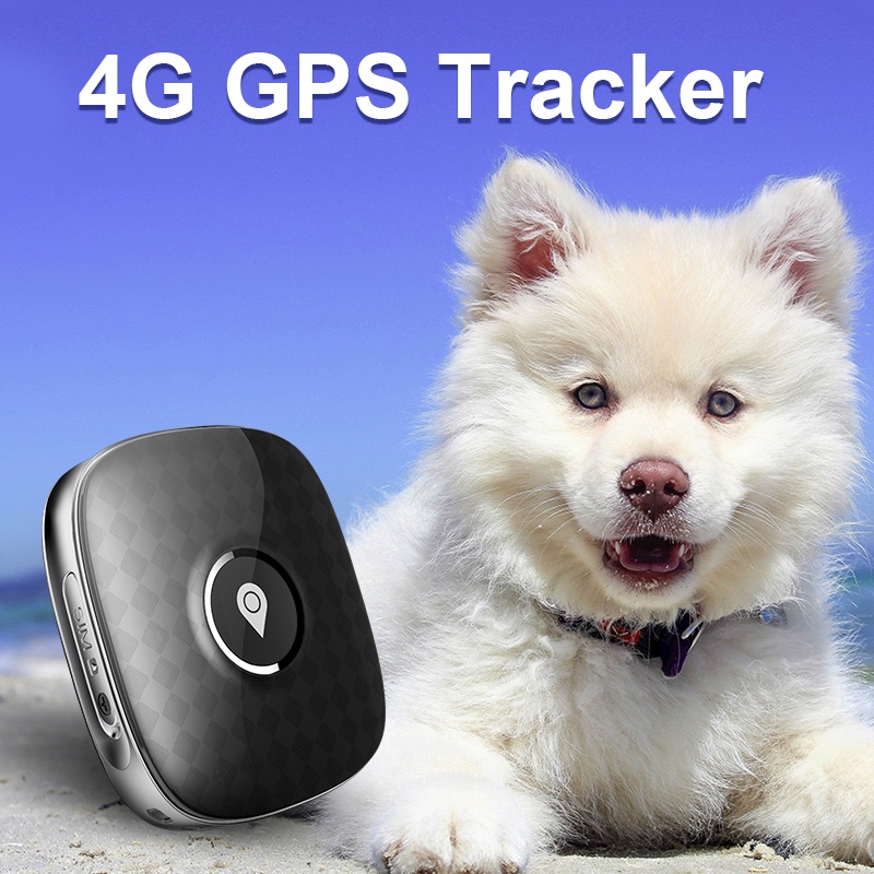 Stunning Pet Gps Location Device image
