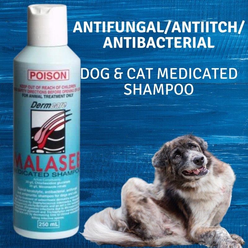 Malaseb Dermcare Medicated Shampoo 250ml Cat Dog Antifungal