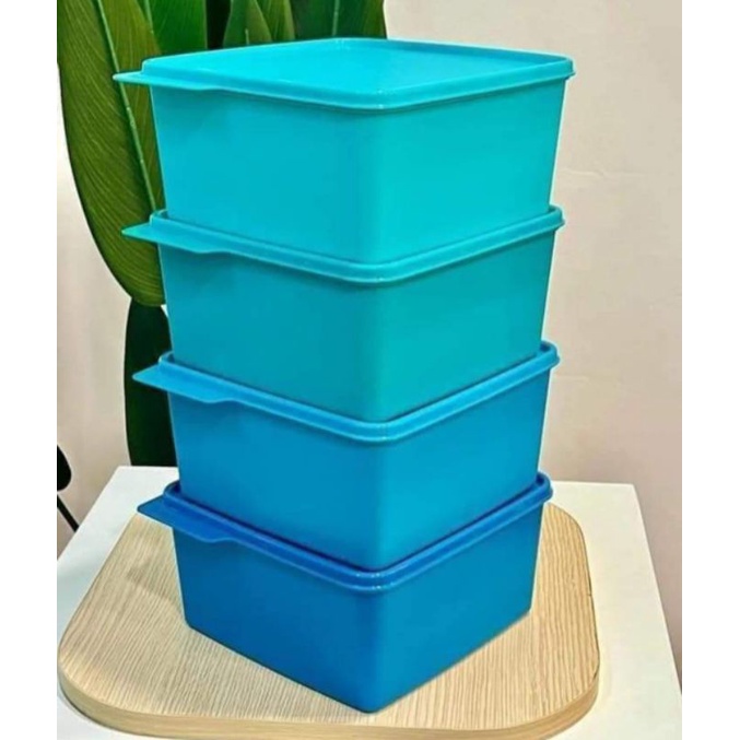 Ready Stock Tupperware Cozy Nest Snack Stack L Shopee Malaysia