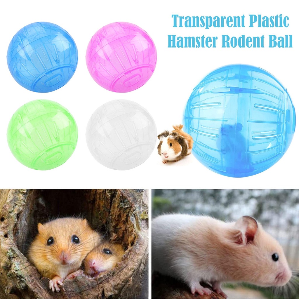 Hamster sales ball shopee