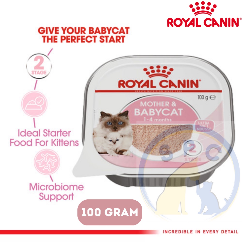 Baby cat outlet wet food