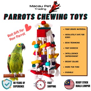 Discount hotsell bird toys