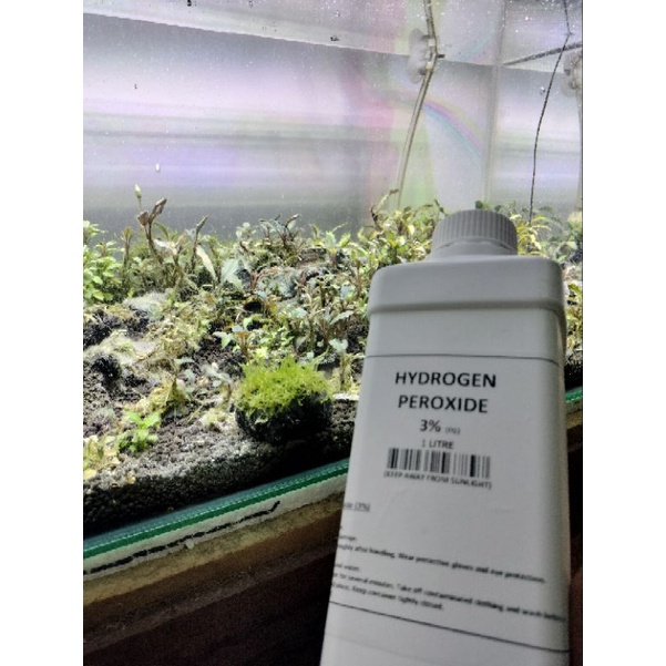 h2o2 hydrogen peroxide 3 repack 20ml removed algae direct injection to