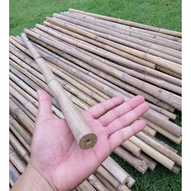 BATANG BULUH SIAP POTONG | Shopee Malaysia