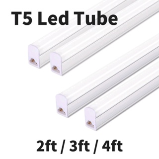 t5 light - Prices and Promotions - Feb 2024