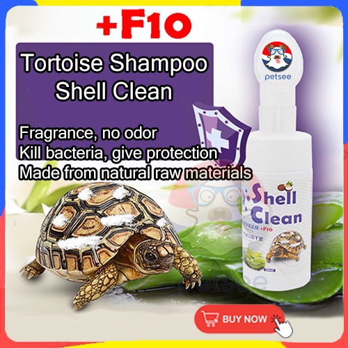 Cleaning tortoise outlet shell