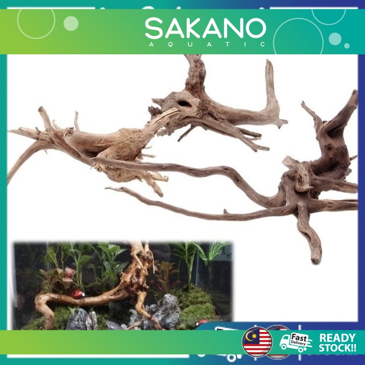 Aquarium Aquascaping Soaked and Boiled Azalea Wood spider wood Aquarium