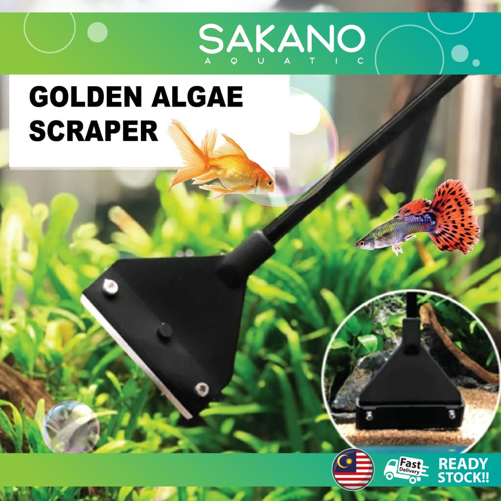 Aquarium Algae Scrapper / Aluminum Magnesium Alloy (rust resistant ...