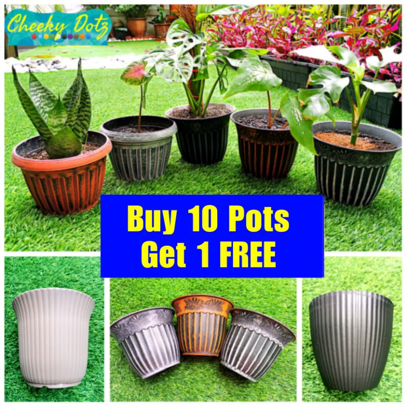 CHEAP Flower Pots, Pasu Bunga Murah (BUY 10 FREE 1 POT) Shopee Malaysia