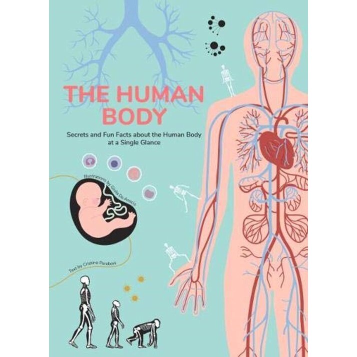(English Book) Human Body: Secrets And Fun Facts About The Human Body ...
