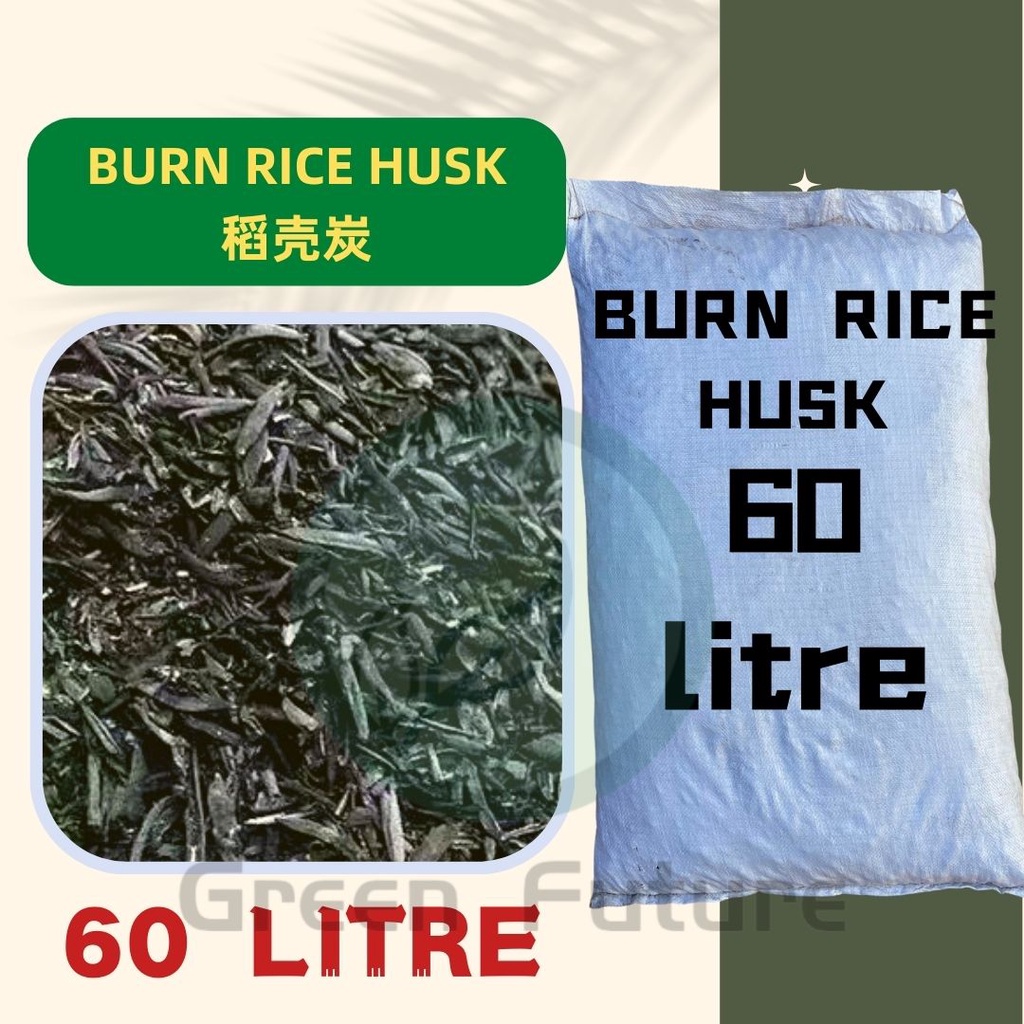 BORONG WHOLESALE 60LITRE 8KG CACTUS SUCCULENT 稻米碳 稻米壳 稻米壳碳 padi bakar ...