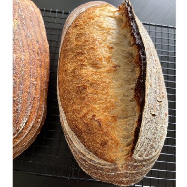 Heritage grain sprouted sourdough bread Shopee Malaysia