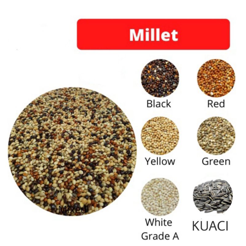 Mixed Millet Seed Bird Feed / Yellow Millet / Sekoi Campur / Makanan Burung/Sambau Campur