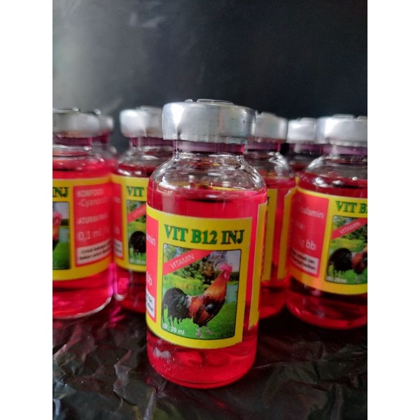 B12 INJECTION 20ML | Shopee Malaysia