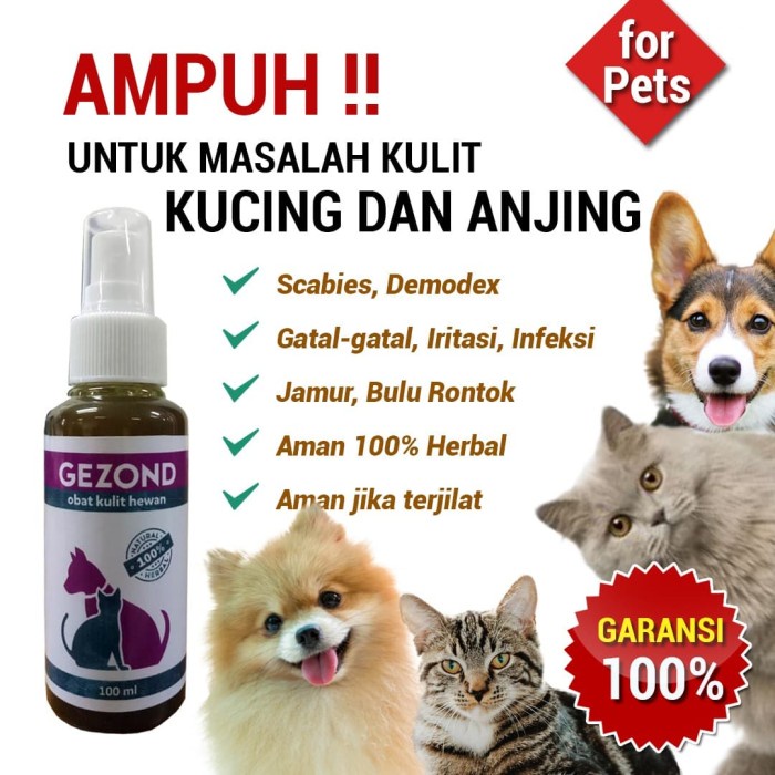 View of Dog Cat Skin Medicine - Animal Flea Fungus Scabies Demodex | Shopee ...