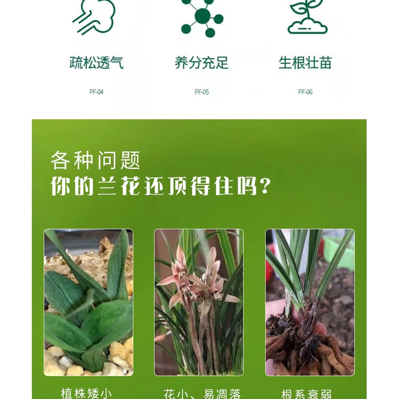 Orchid 兰花 蝴蝶兰 Genuine Lanling King Orchid fertilizer baja orchid Liquid ...