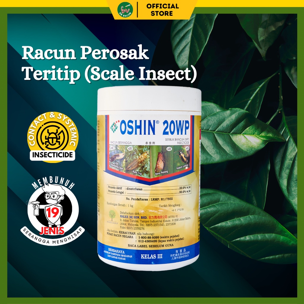 Oshin 20wp Racun Teritip Scale Insects Perosak Tanaman Systemic