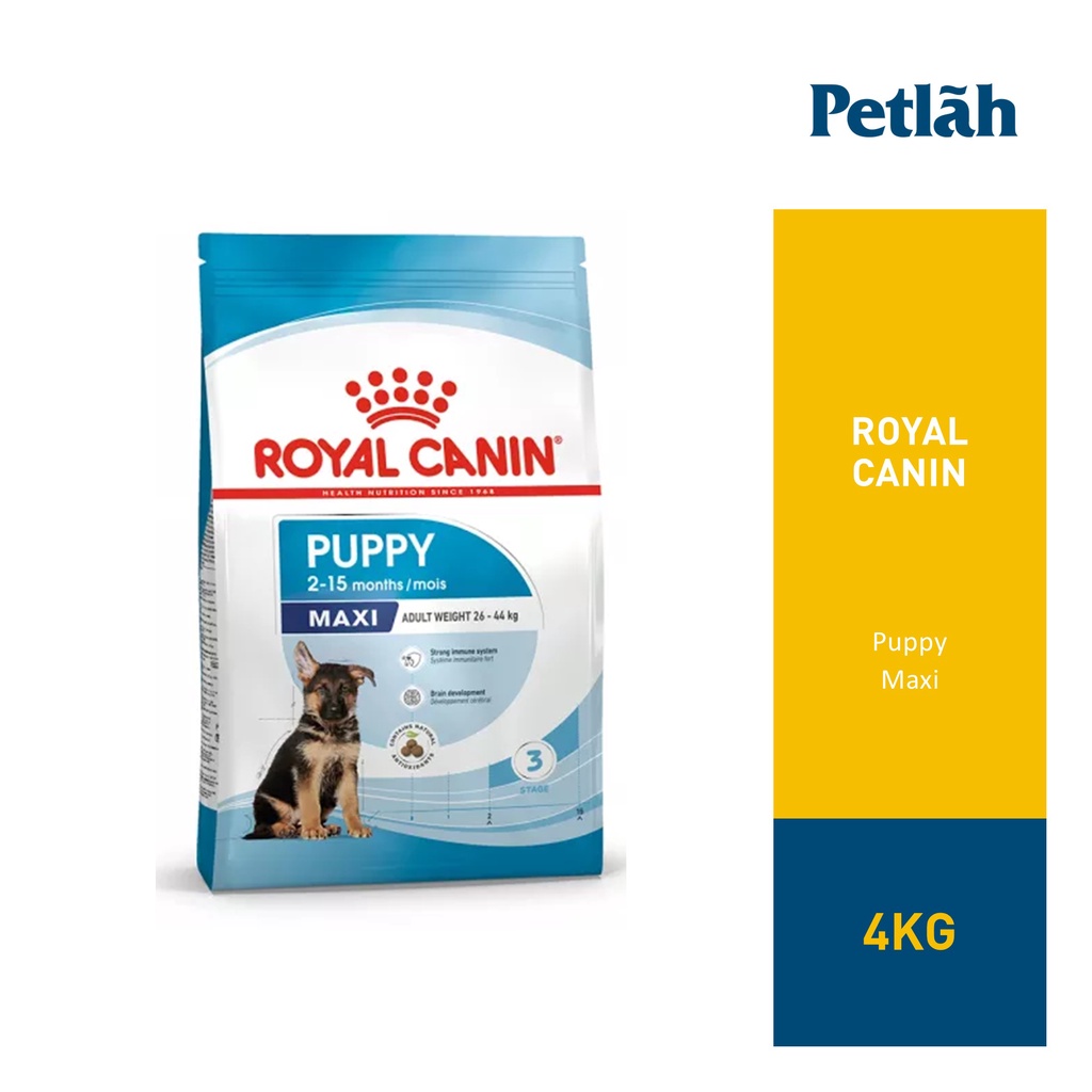 Royal canin best sale puppy maxi 4kg