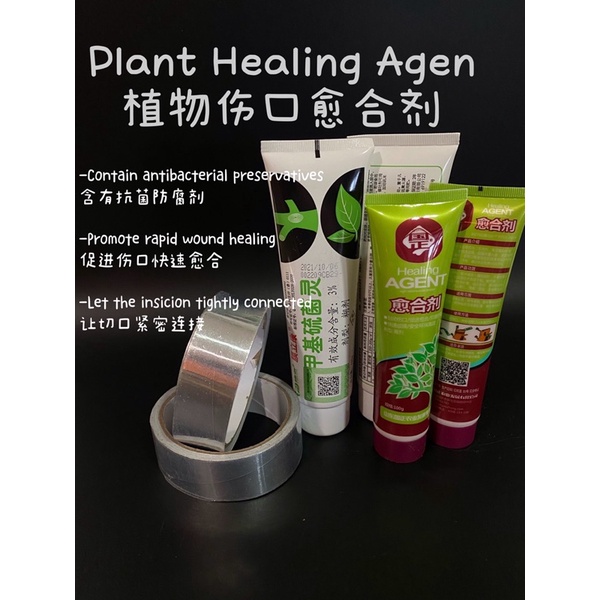 Plant Wound Healing Agent Big Tree Bonsai Sealant Plants Smear Agent