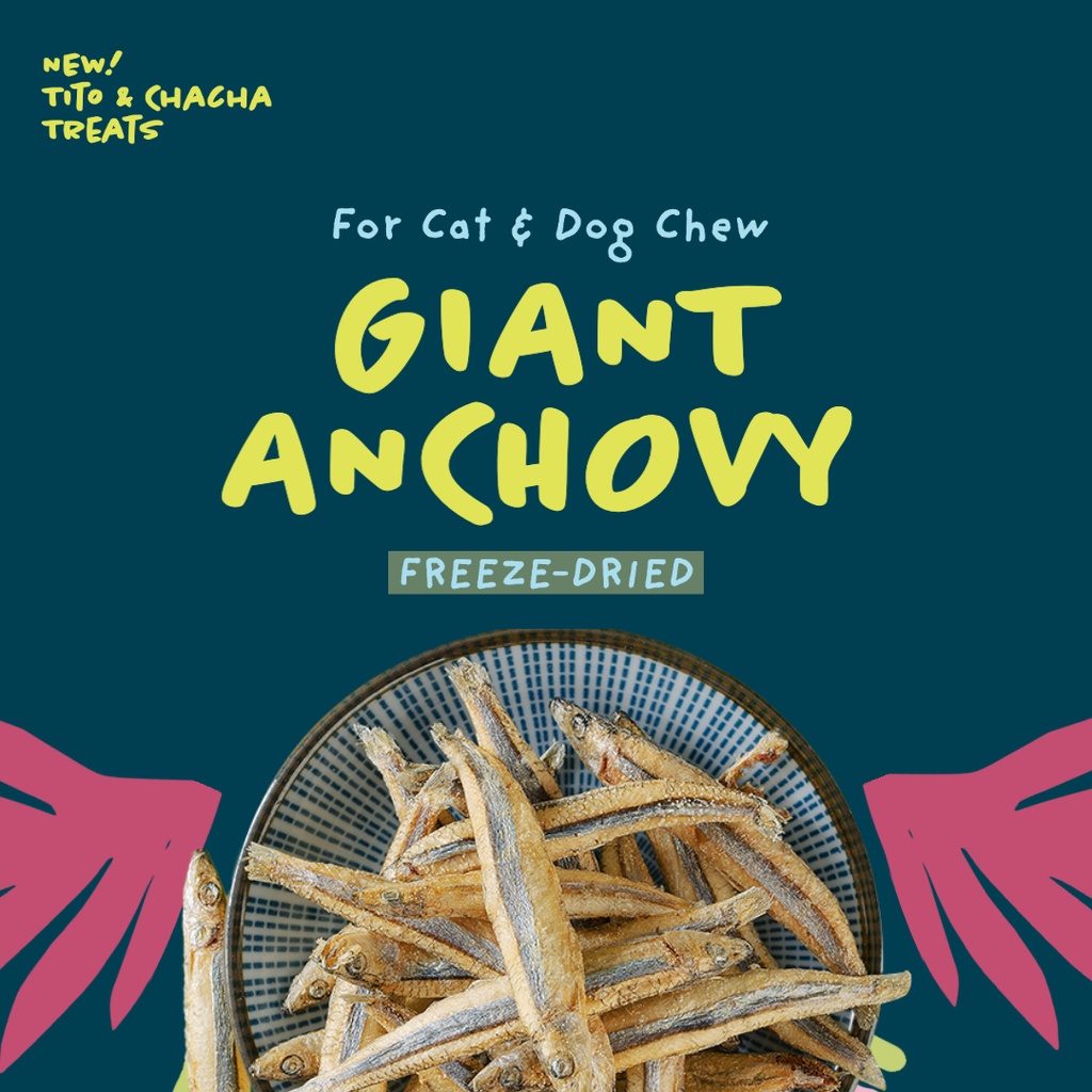 Tito & Chacha Raw FreezeDried Giant Anchovy Pet Toppers/Treats/Snacks for Cat/Dog Shopee Malaysia