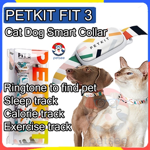 Bluetooth best sale cat collar