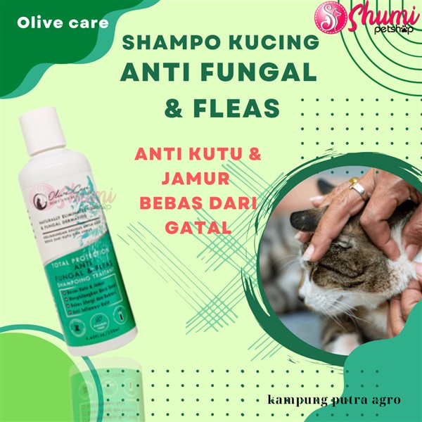 Olive Care Cat Shampoo ANTI FUNGAL & FLEAS Package To Get Rid Of Fungus