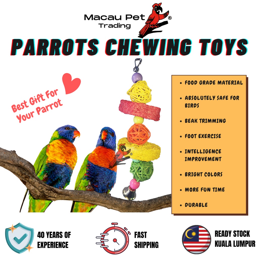 Discount best sale bird toys