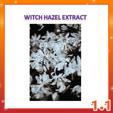 Witch Hazel Extract 100ml | Shopee Malaysia